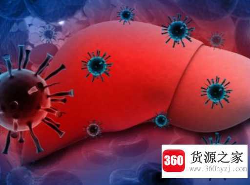 hbsag阳性是什么意思