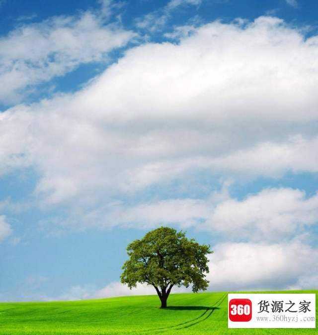 建树是什么意思