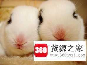 lovely什么意思