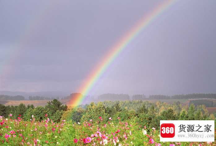 rainbow是什么意思