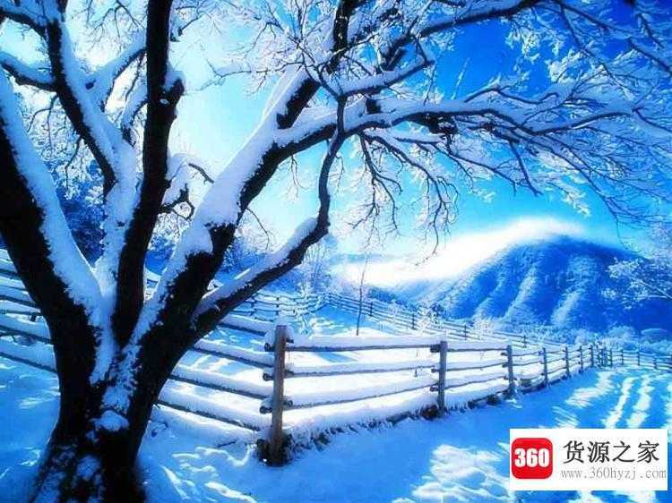snowy是什么意思中文