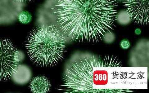 病灶什么意思