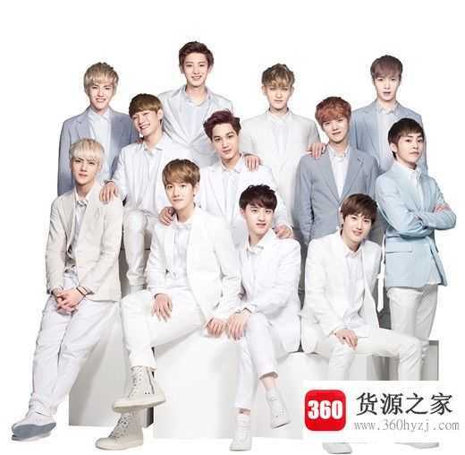 team什么意思