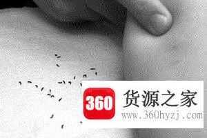 地板小黑虫怎么清除