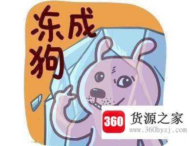 cold是什么意思