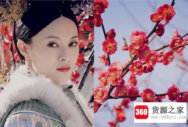 逆风如解意容易莫摧残什么意思