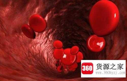 人身上有多少血