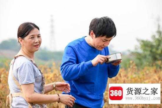 丈母娘与女婿是什么关系