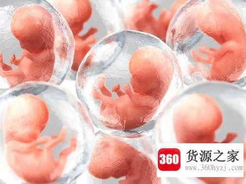 为什么一些鱼类的特征会出现在人体胚胎中