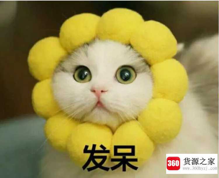 网络ptsd指什么