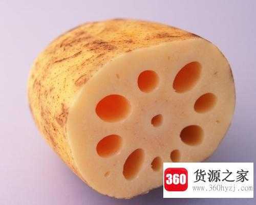 藕断丝连的丝是属于什么组织