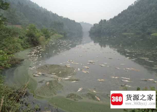 水质检测ppm多少为好