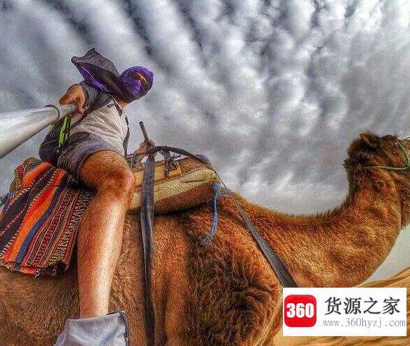摩尔人是哪国人