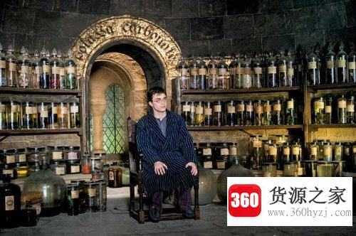 凤凰社是什么组织