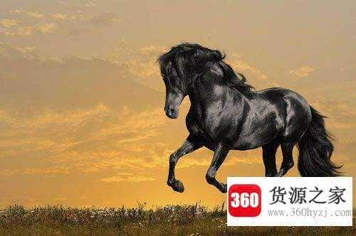 吃不到葡萄说葡萄酸的生肖