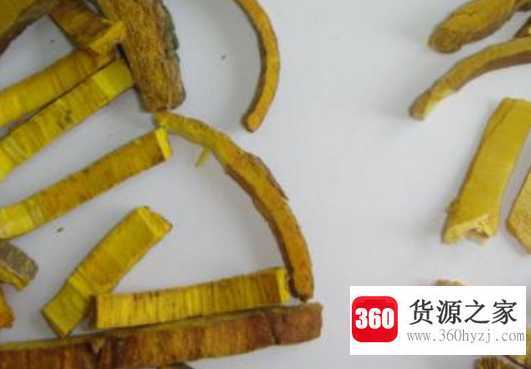 黄柏对皮肤的功效与作用