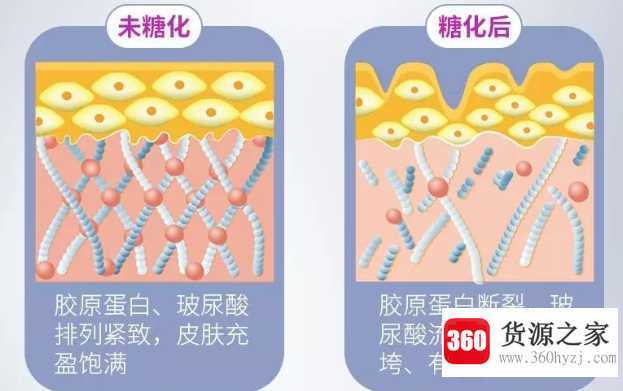 抗糖的副作用与危害性