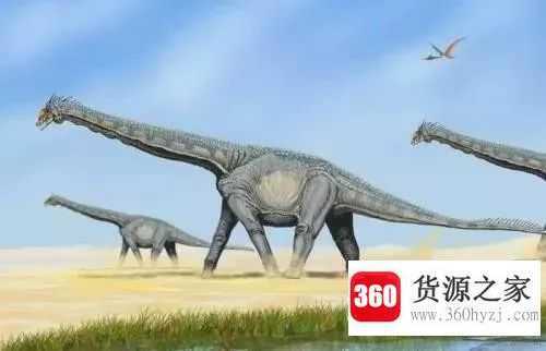 世界上最高的恐龙