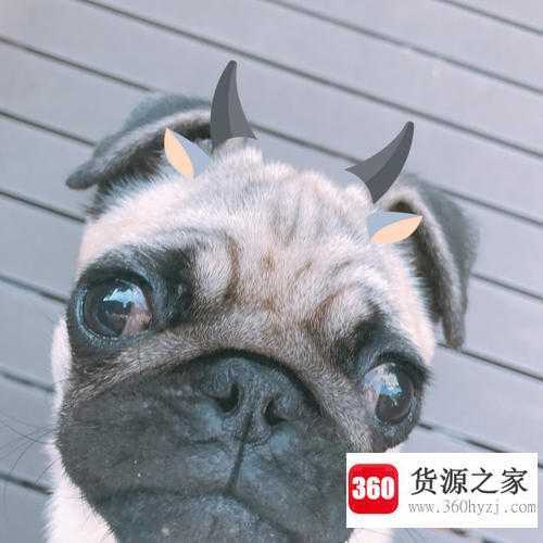 卡姿兰大眼睛是什么梗