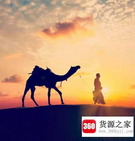 行万里路读万卷书意思
