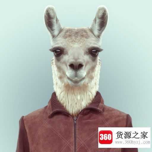 衣冠禽兽最初指的是什么