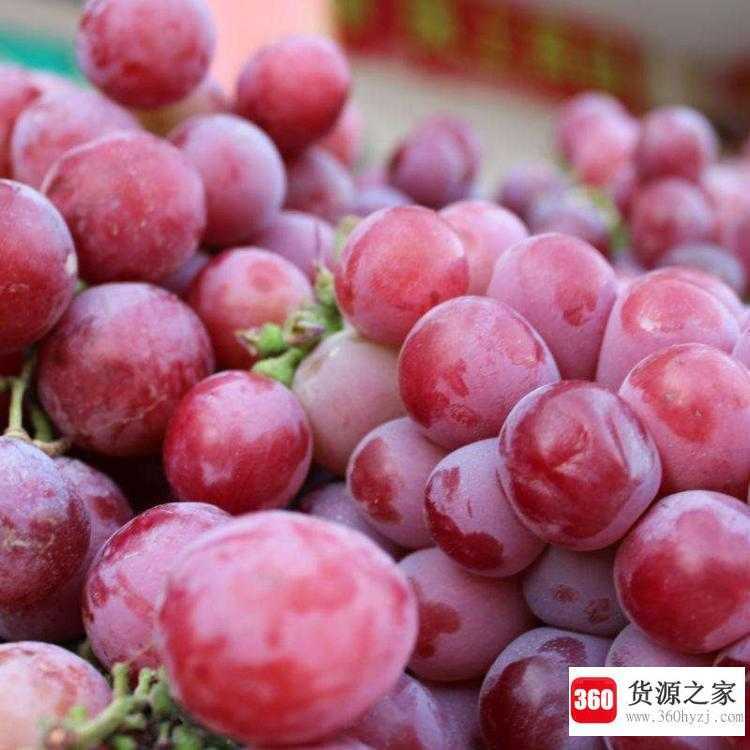 提子的籽能吃吗