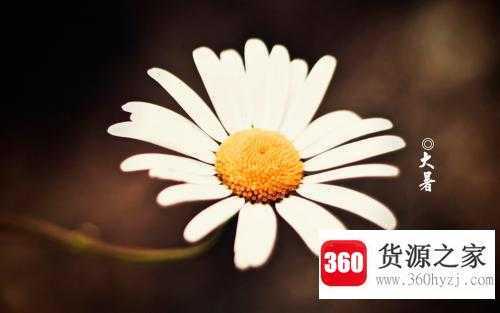 大暑要注意些什么