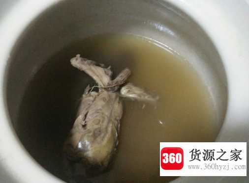 炖鸽子汤怎么炖好吃又营养
