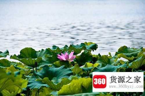 夏天早上几点天亮