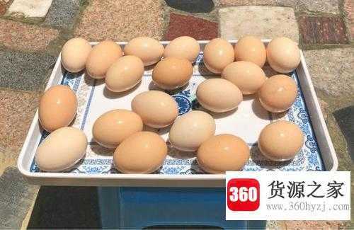 6月6日吃什么