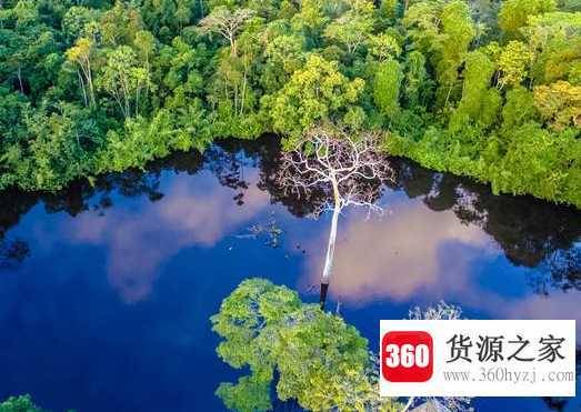 亚马逊河在哪里