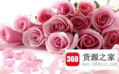 99朵玫瑰代表什么意思