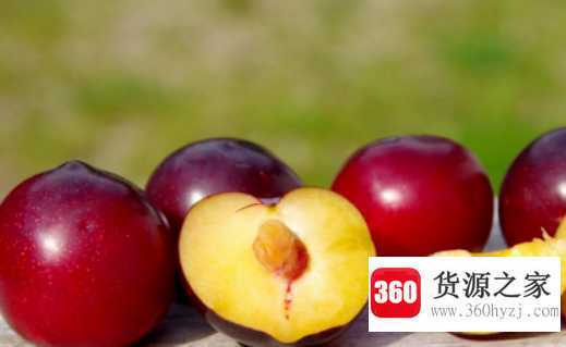 李子怎么催熟