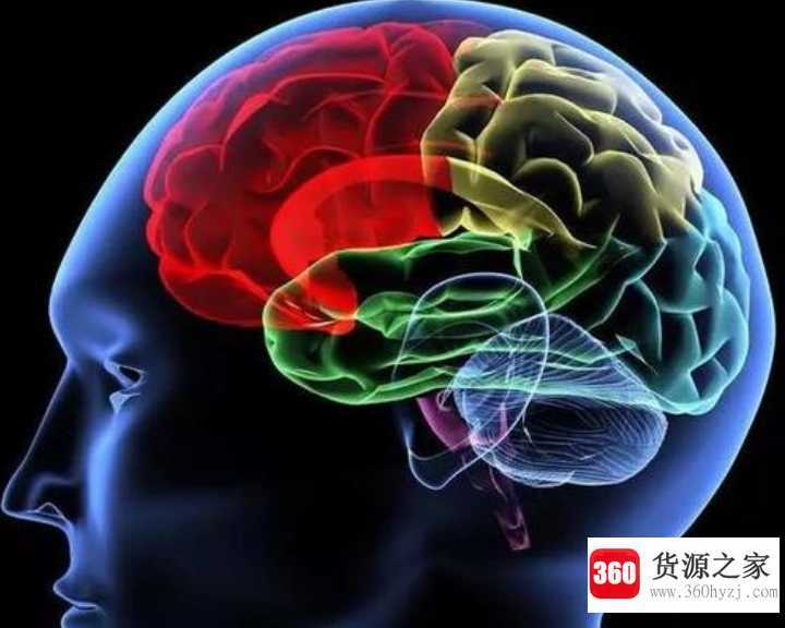 矛盾关系和反对关系的区别