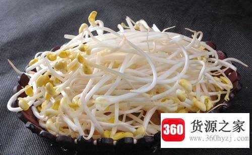 怎么发豆芽又快又好