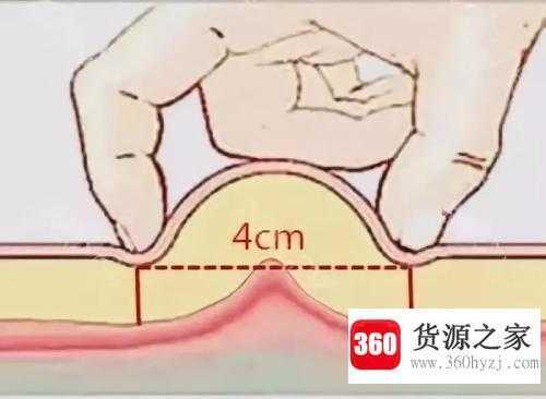 脂肪作用