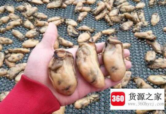 生蚝干的功效与作用