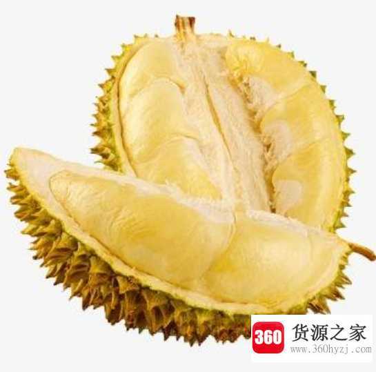 榴莲熟了是什么样的