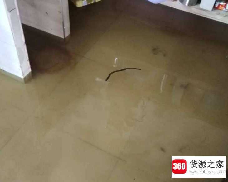 屋里进水了怎么处理