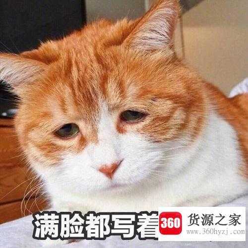 支付宝锦鲤是什么