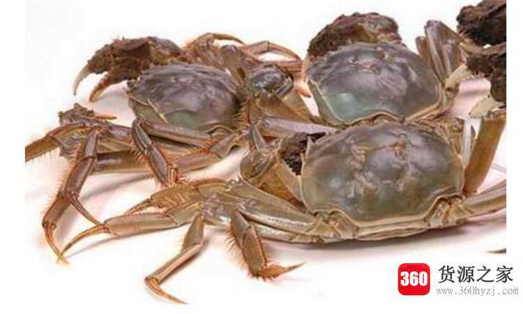 死螃蟹能吃吗