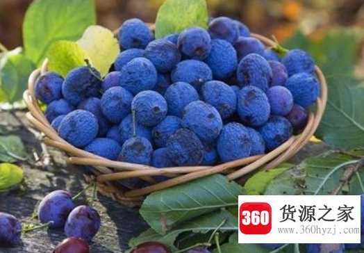 吃蓝莓的禁忌