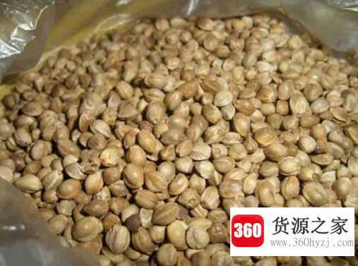 麻子是什么