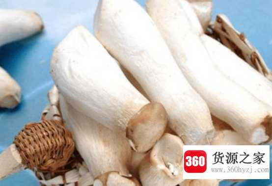杏鲍菇的禁忌