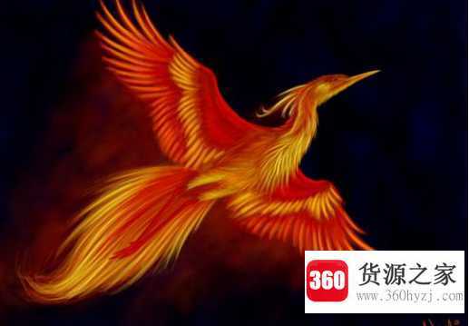 凤和凰的区别