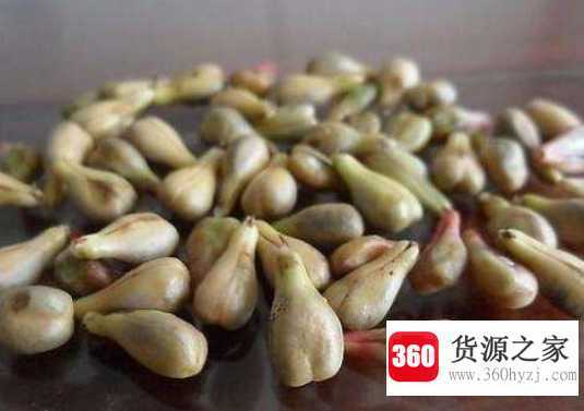 葡萄籽能吃吗
