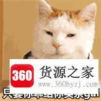 给你买条gai什么意思