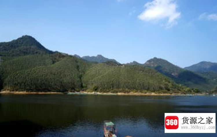 forest是什么意思