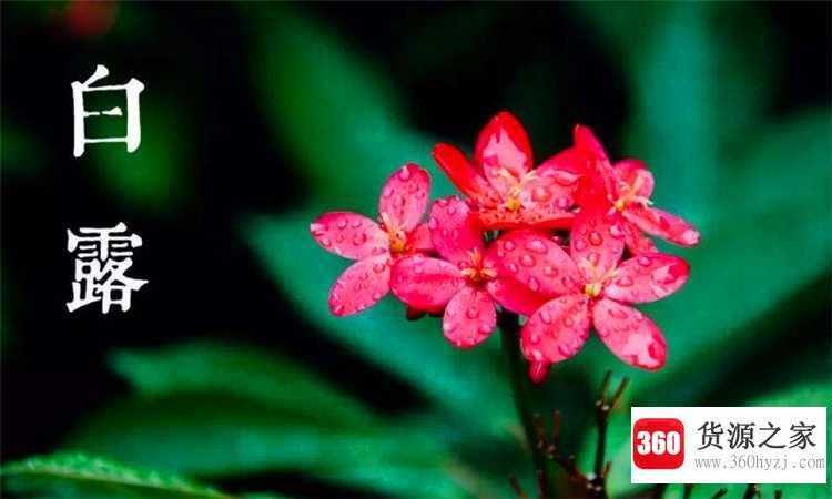 白露节气的含义是什么