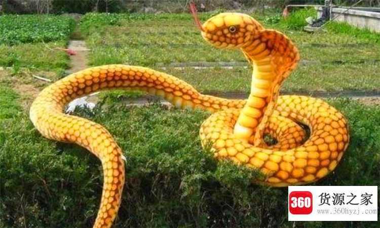 蛇怕什么